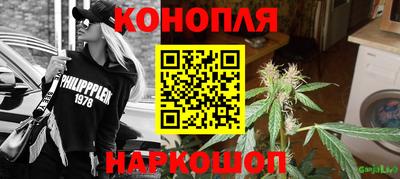гашик Малгобек