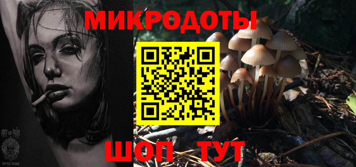 Железноводск  Галлюциногенные грибы Psilocybine cubensis  Вход с VPN 